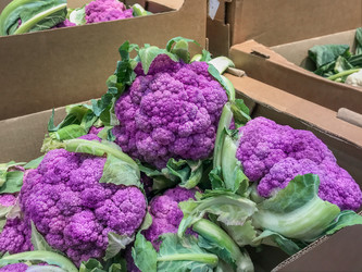 Similar image 21268144