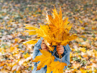 Similar image 21289469