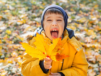 Similar image 21281633