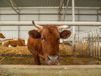 Similar image 21281498