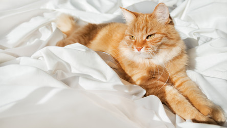 Similar image 21264385