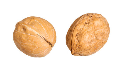 Similar image 21264900