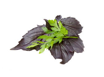 Similar image 21264901