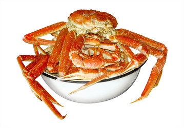 Similar image 21264903