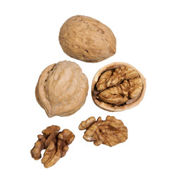 Similar image 21264908