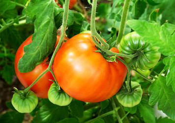 Similar image 21264935