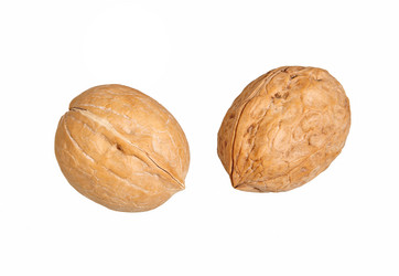 Similar image 21264936