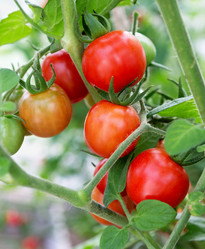 Similar image 21264941