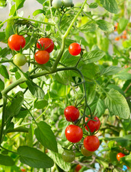 Similar image 21264944