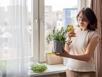 Similar image 21281645