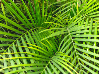 Similar image 21281652