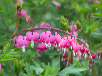 Similar image 21281654