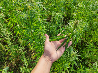 Similar image 21281655