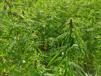 Similar image 21281657