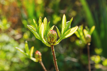 Similar image 21281680