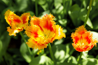 Similar image 21281683