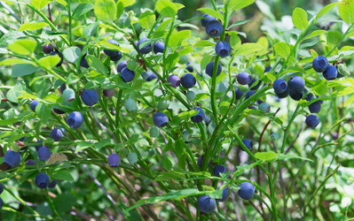 Similar image 21264949