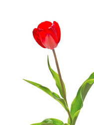 Similar image 21264955