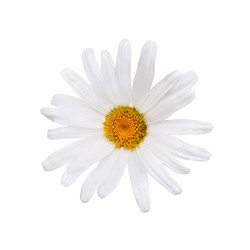 Similar image 21264963