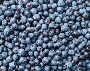 Similar image 21264967