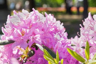 Similar image 21281502