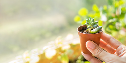 Similar image 21281504