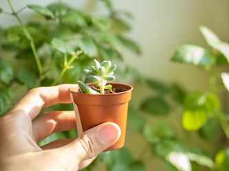 Similar image 21281505