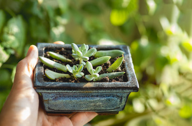 Similar image 21281507