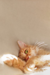 Similar image 21281688