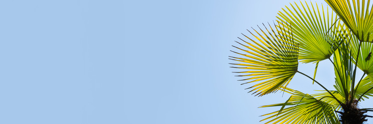 Similar image 21281694