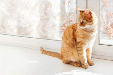 Similar image 21281705