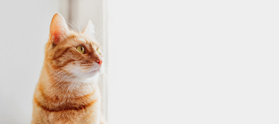 Similar image 21281708