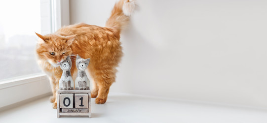 Similar image 21281710