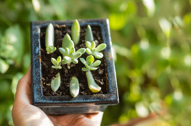 Similar image 21281720