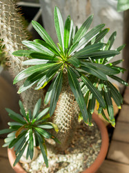 Similar image 21281722