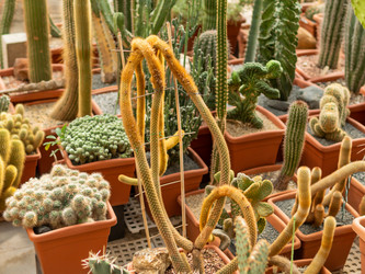 Similar image 21281725