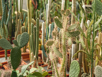 Similar image 21281727