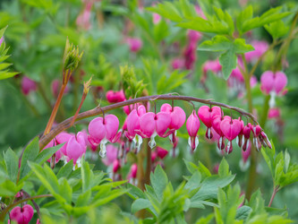 Similar image 21281730