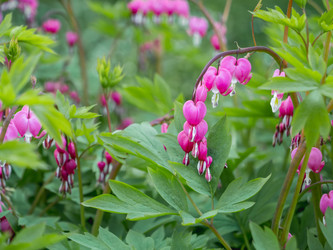 Similar image 21281731