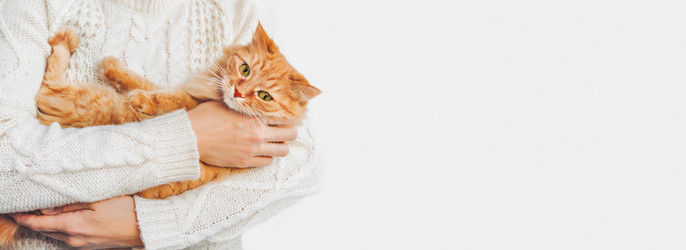 Similar image 21281732