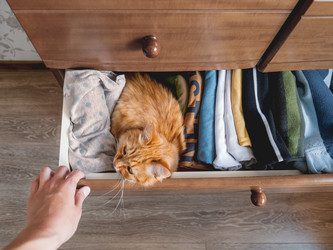 Similar image 21281733