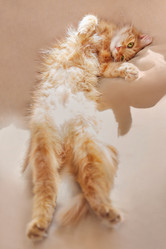 Similar image 21281737