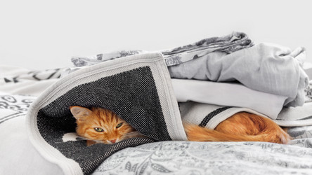 Similar image 21281742