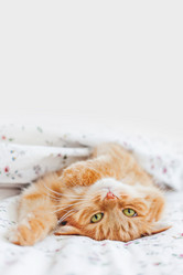 Similar image 21281746