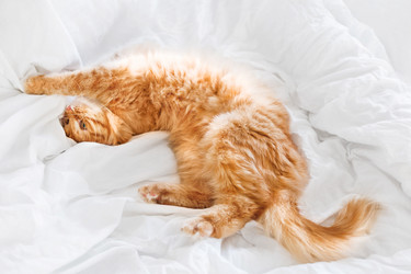 Similar image 21281750