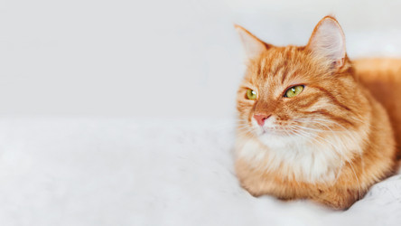 Similar image 21281753