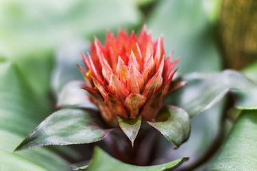 Similar image 21281755