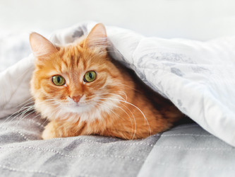 Similar image 21281756