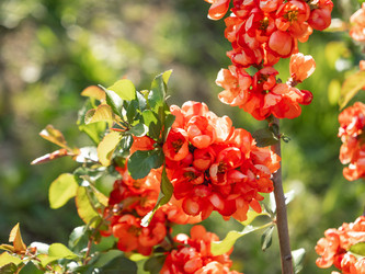 Similar image 21281759