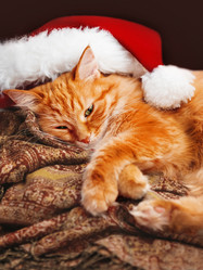 Similar image 21281765